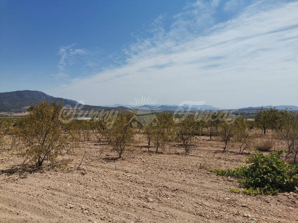 Helårsgrund i Raspay, Murcia - foto 3